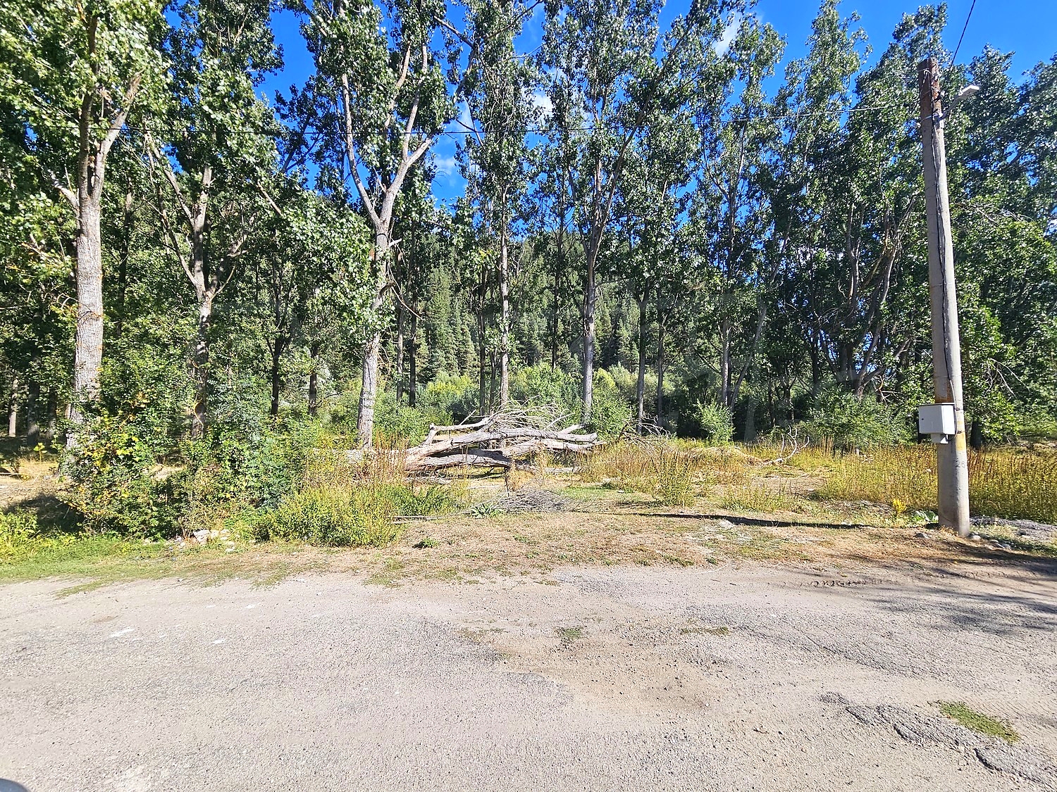 outside, green area