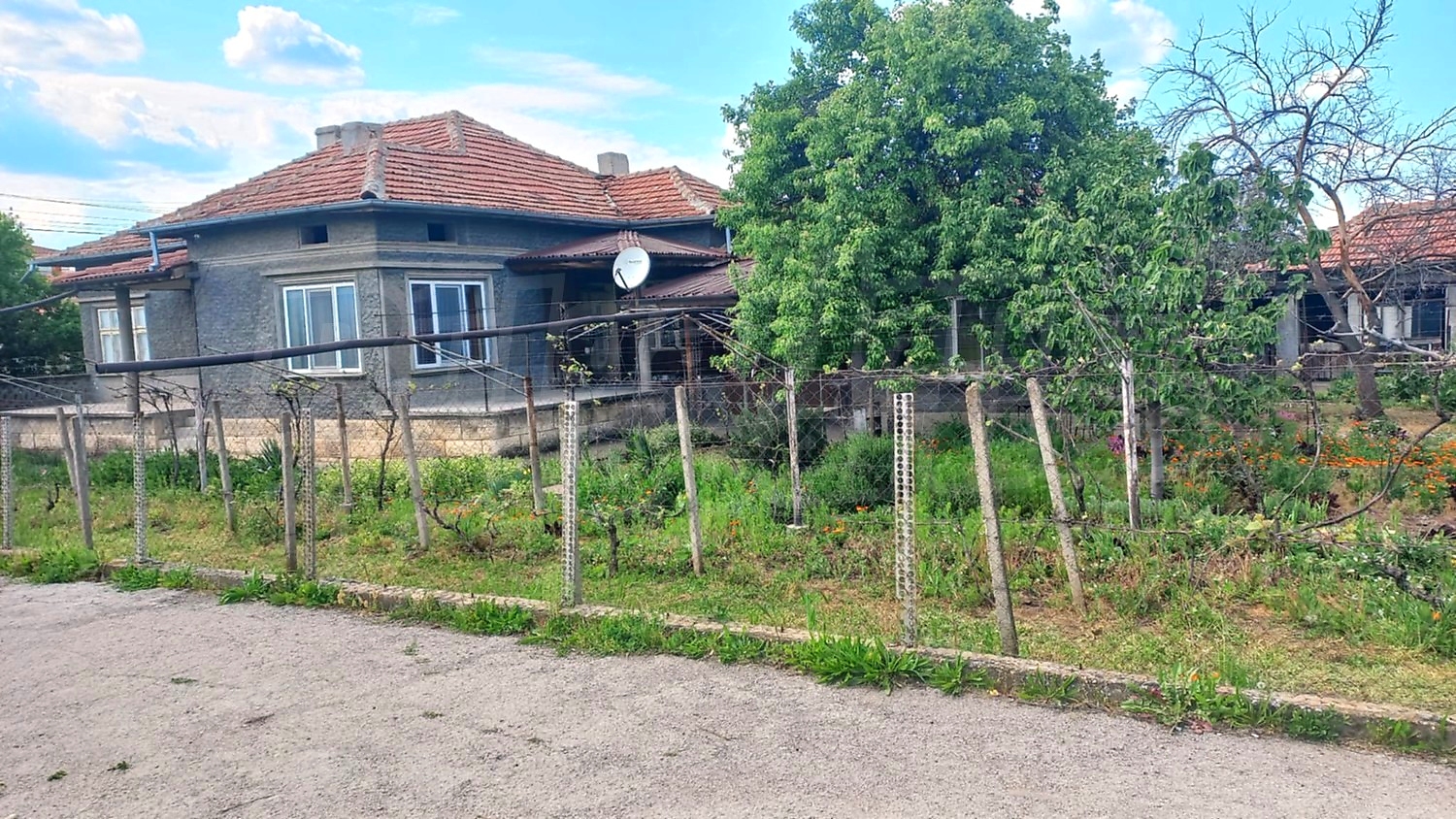 facade, garden, outside