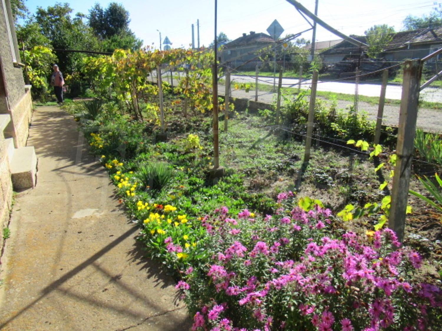 outside, garden