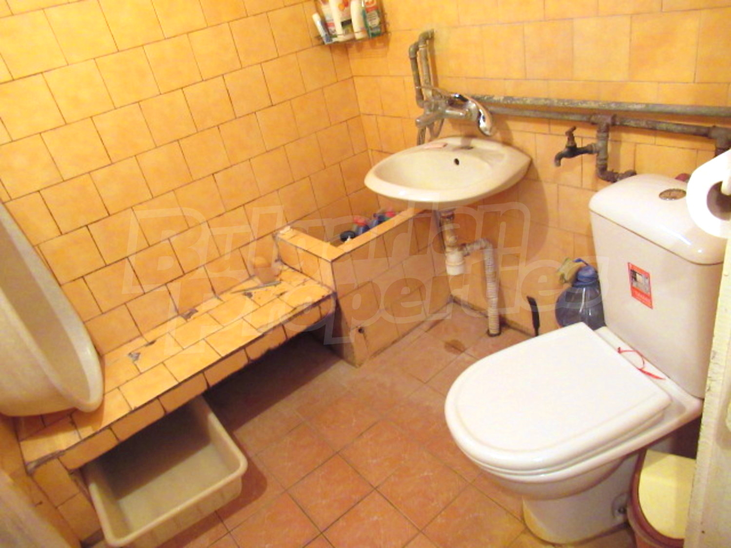 bathroom, toilet