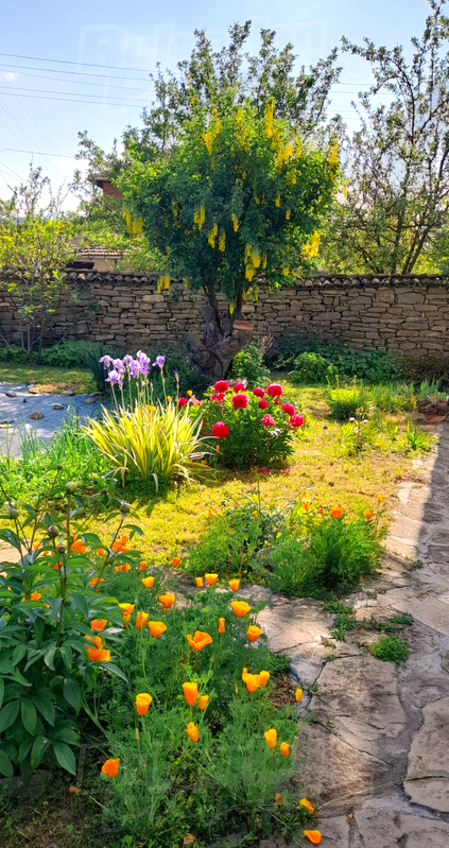 garden, outside, green area