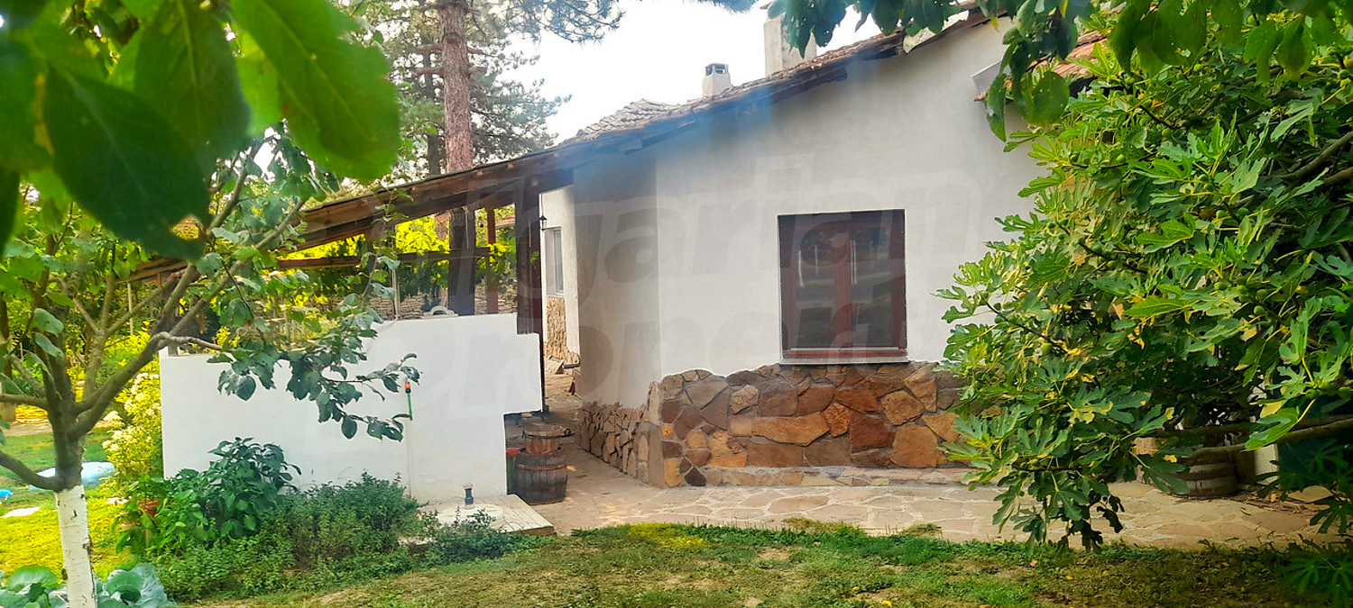 outside, garden, facade