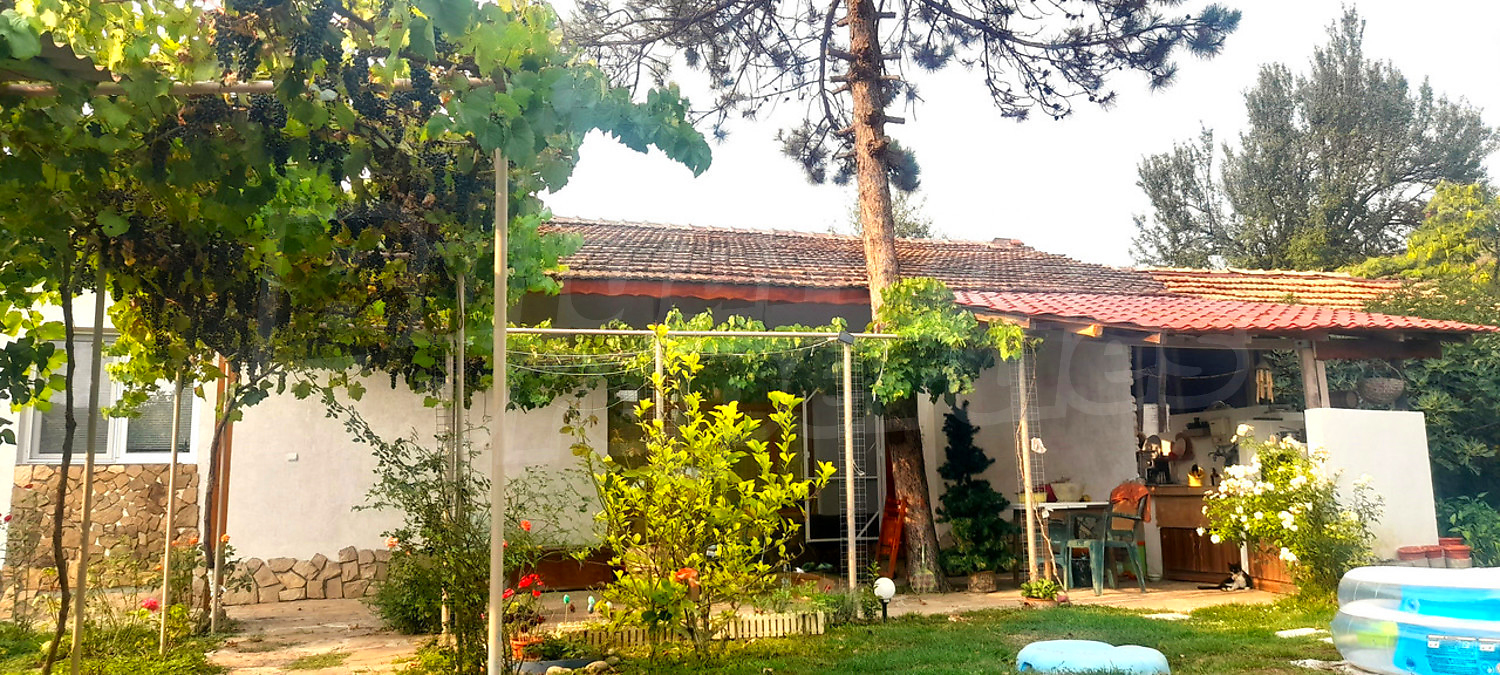 outside, garden