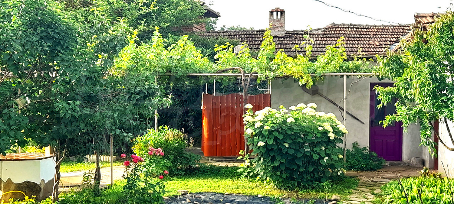 outside, garden