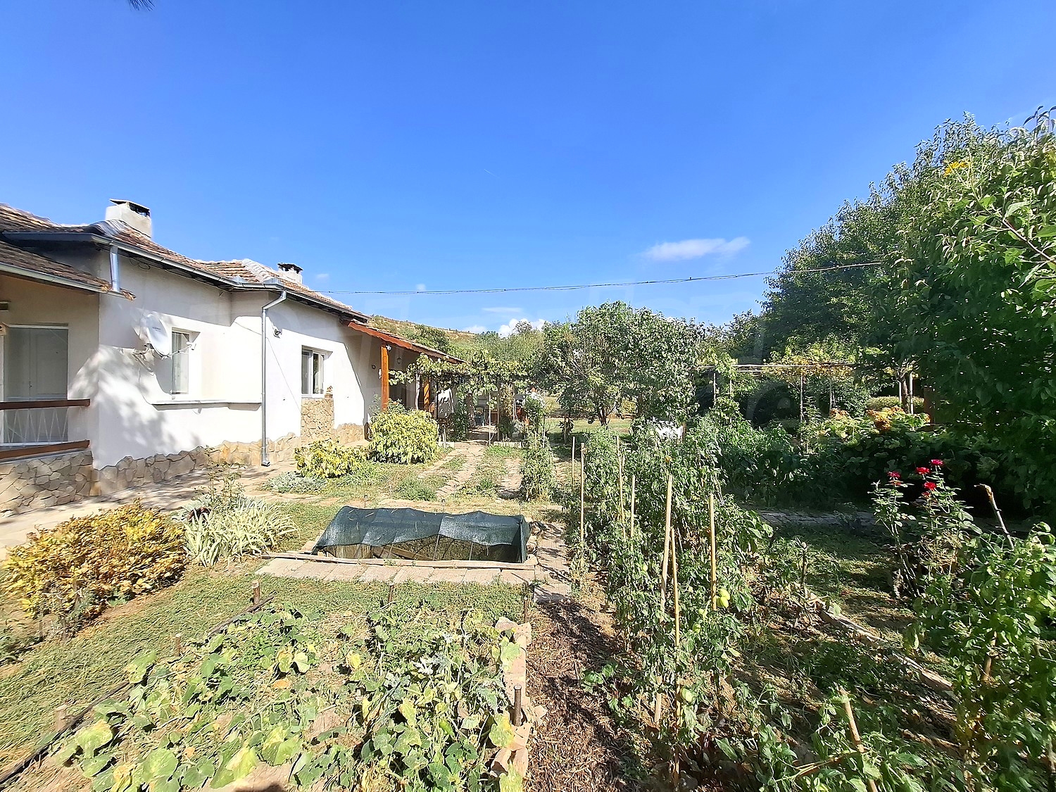outside, garden