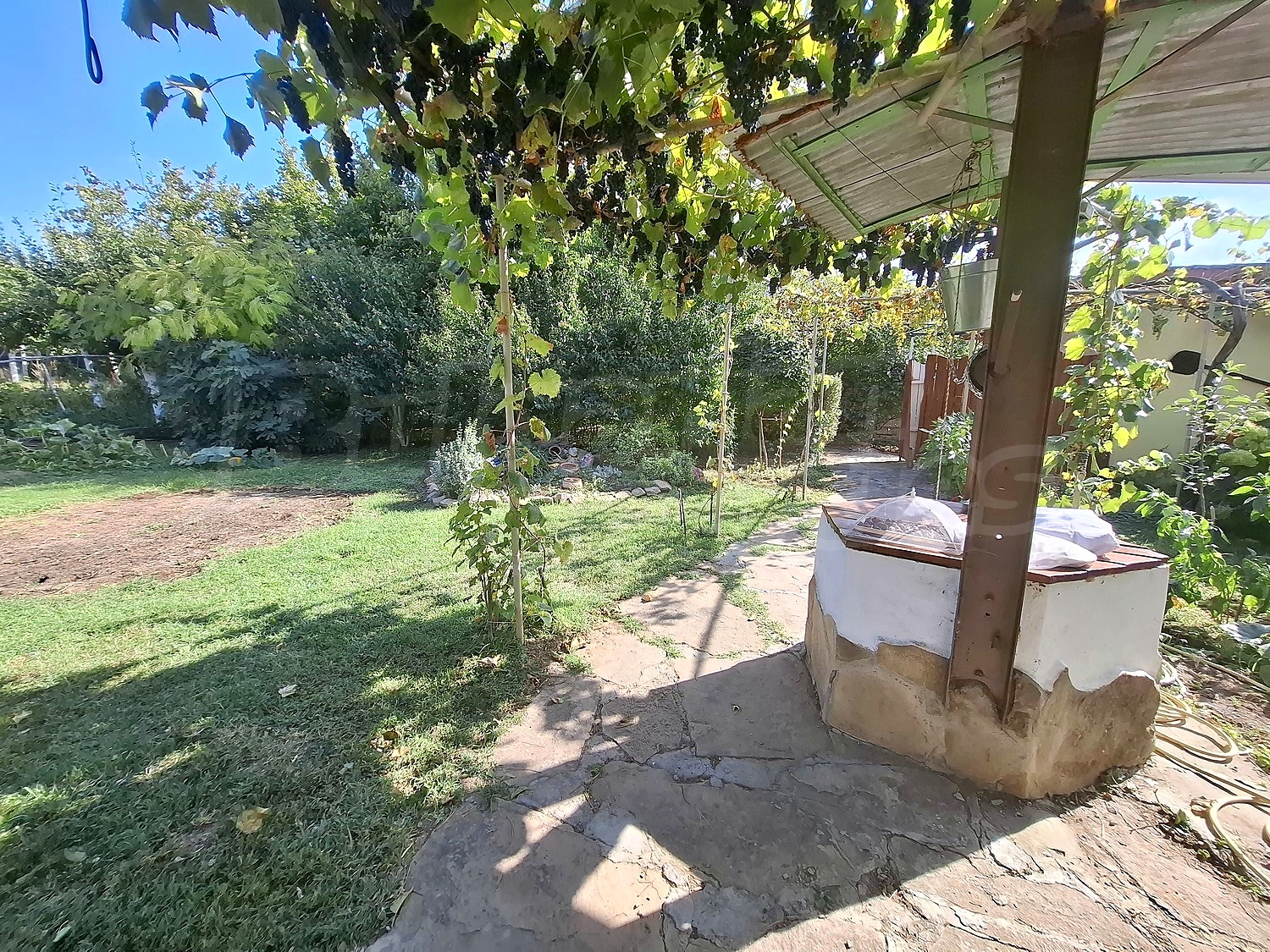 outside, garden, green area