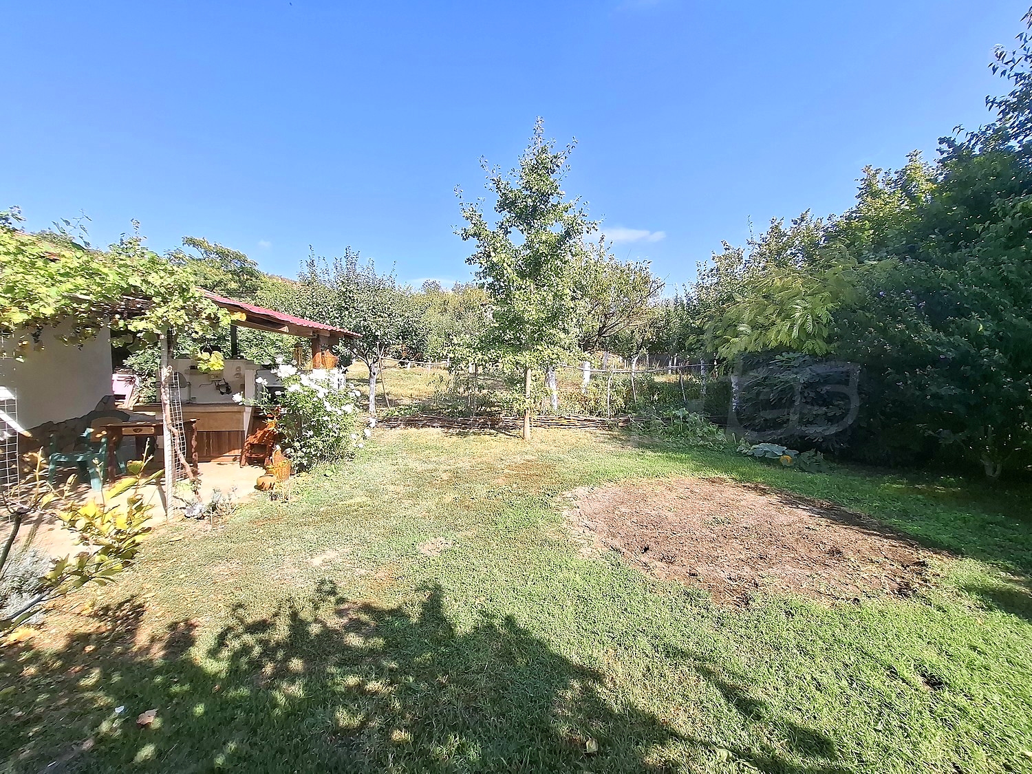 outside, garden, green area