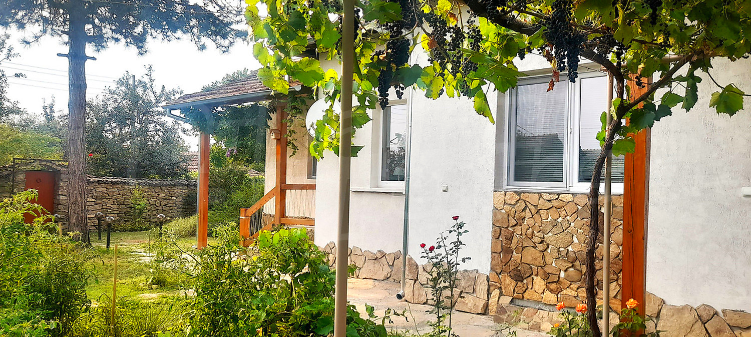 outside, garden