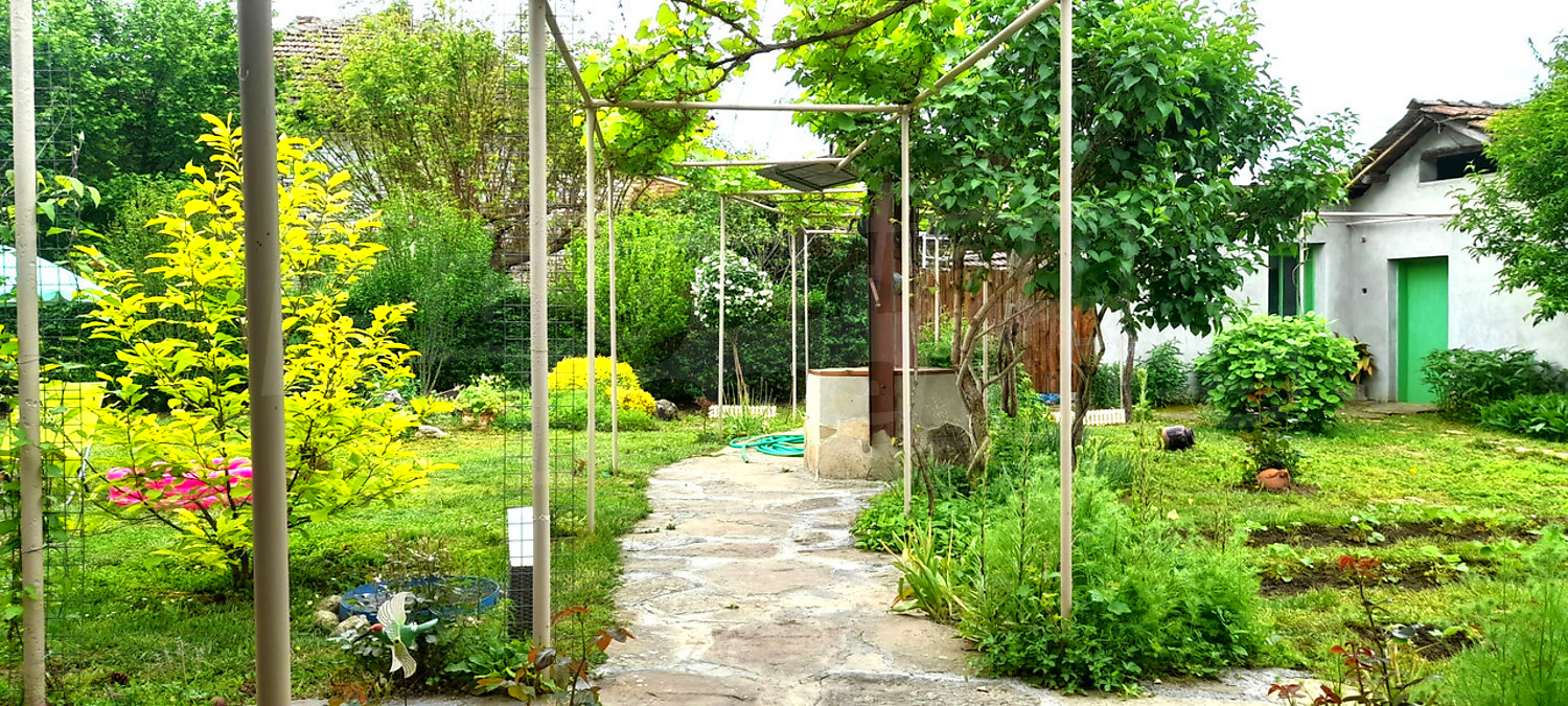 outside, garden, green area
