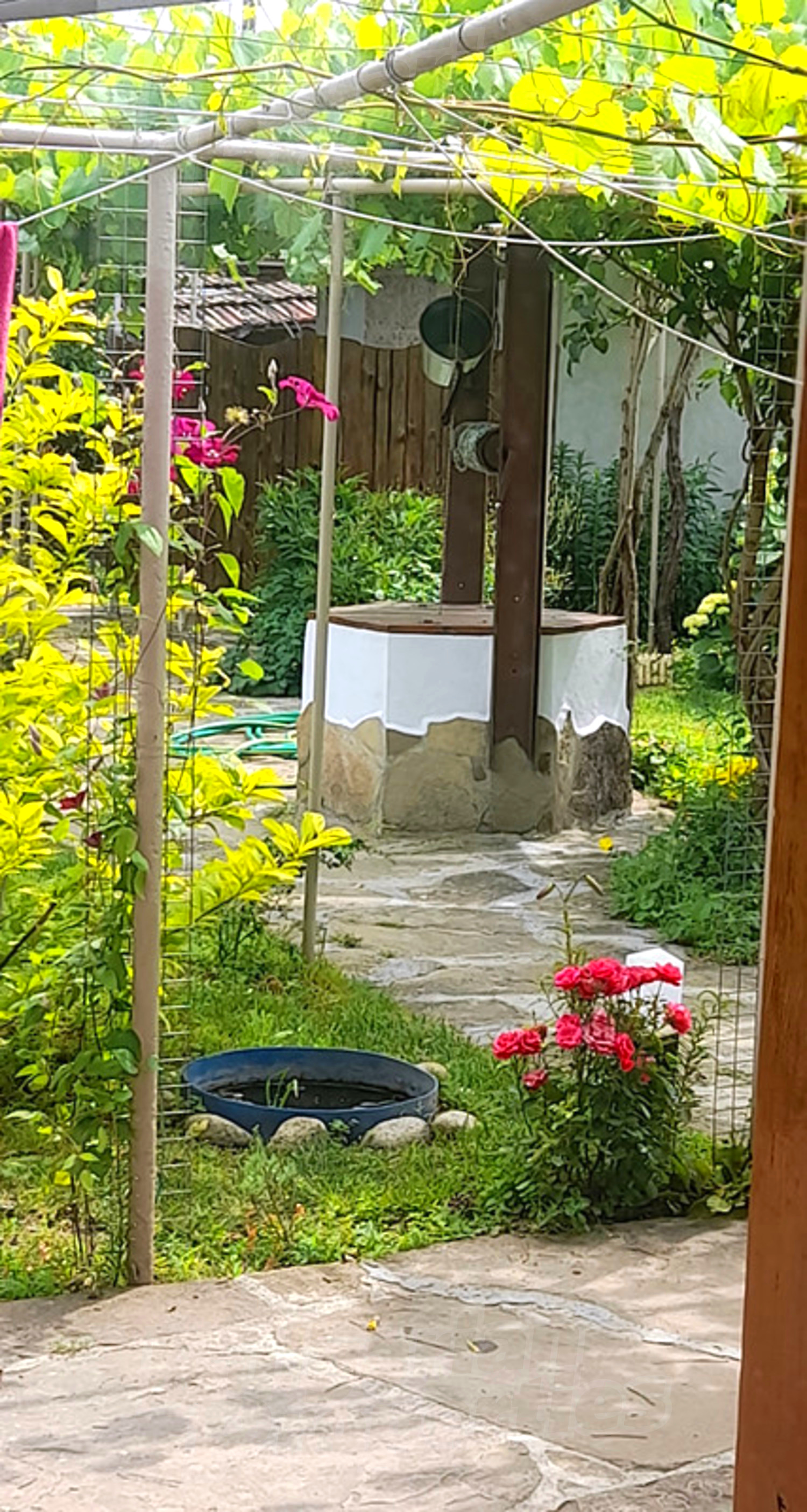 garden, outside