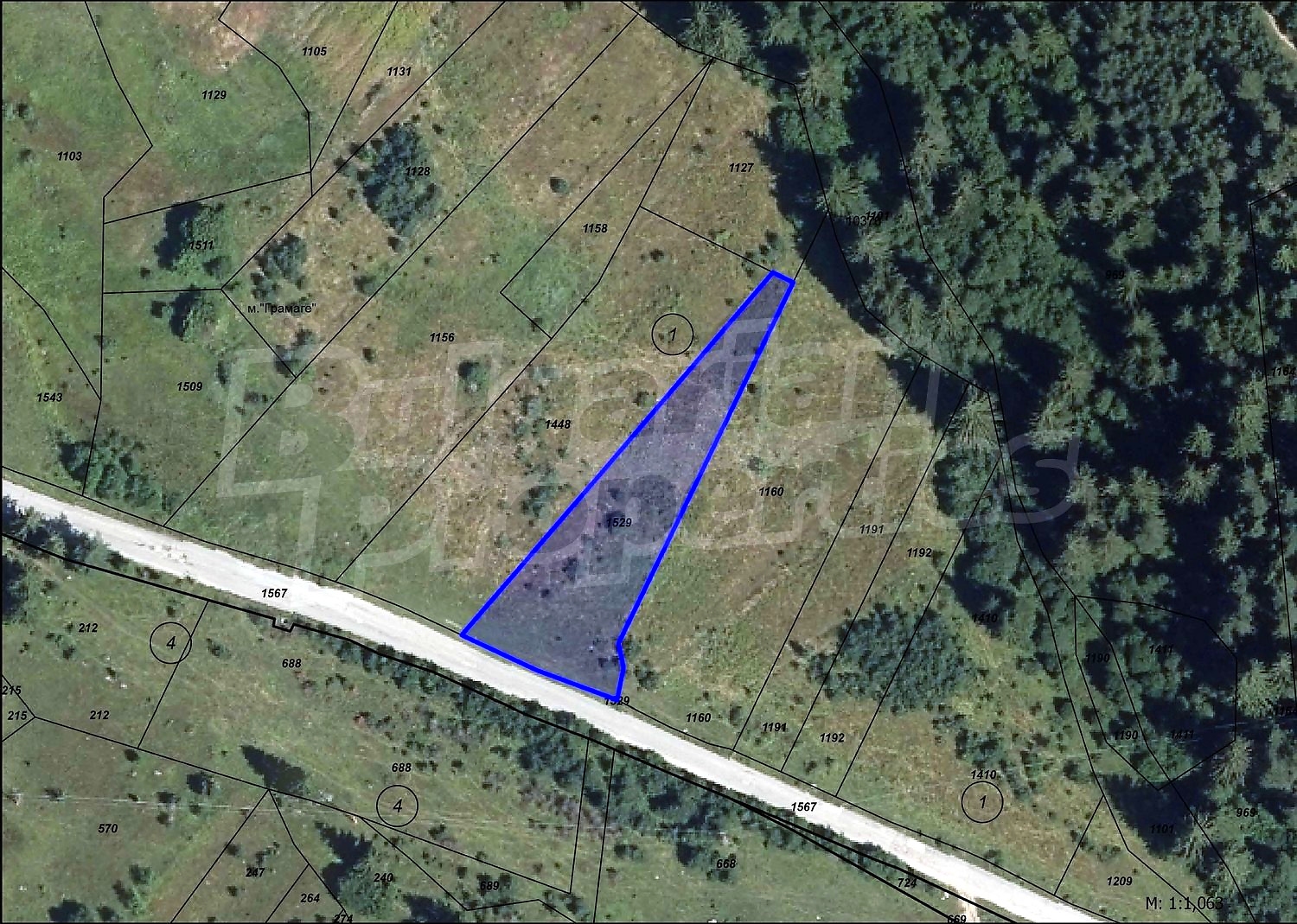 document, green area