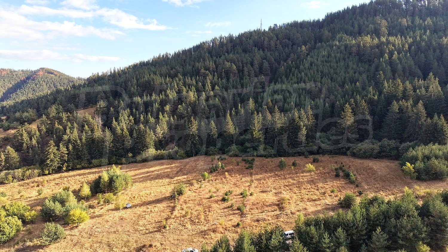 outside, mountain, green area