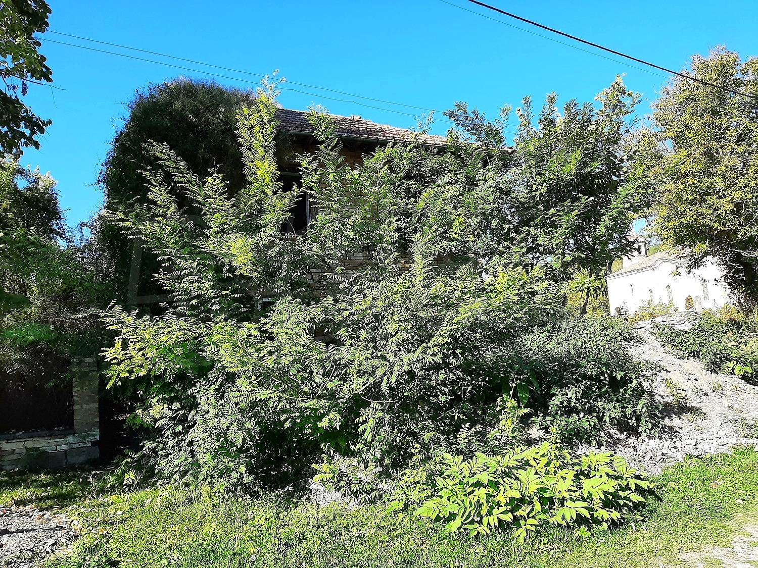outside, facade, garden, green area