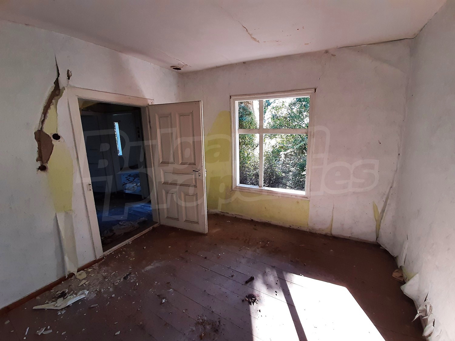 inside, green area