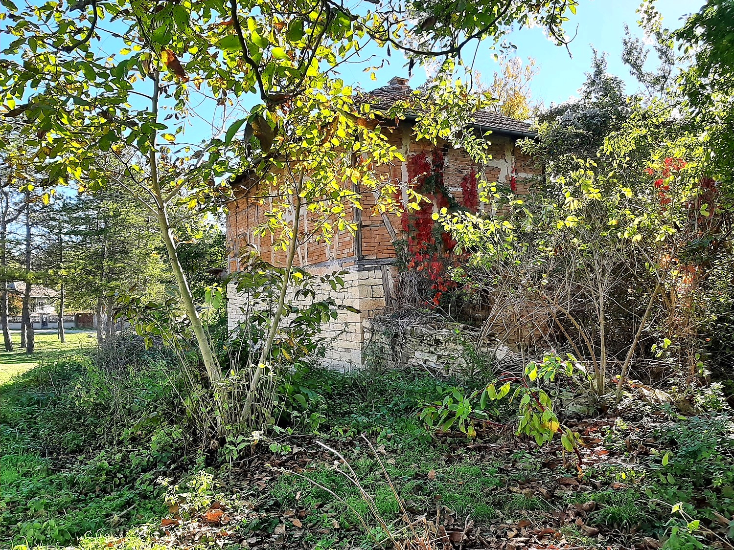 outside, facade, garden, green area