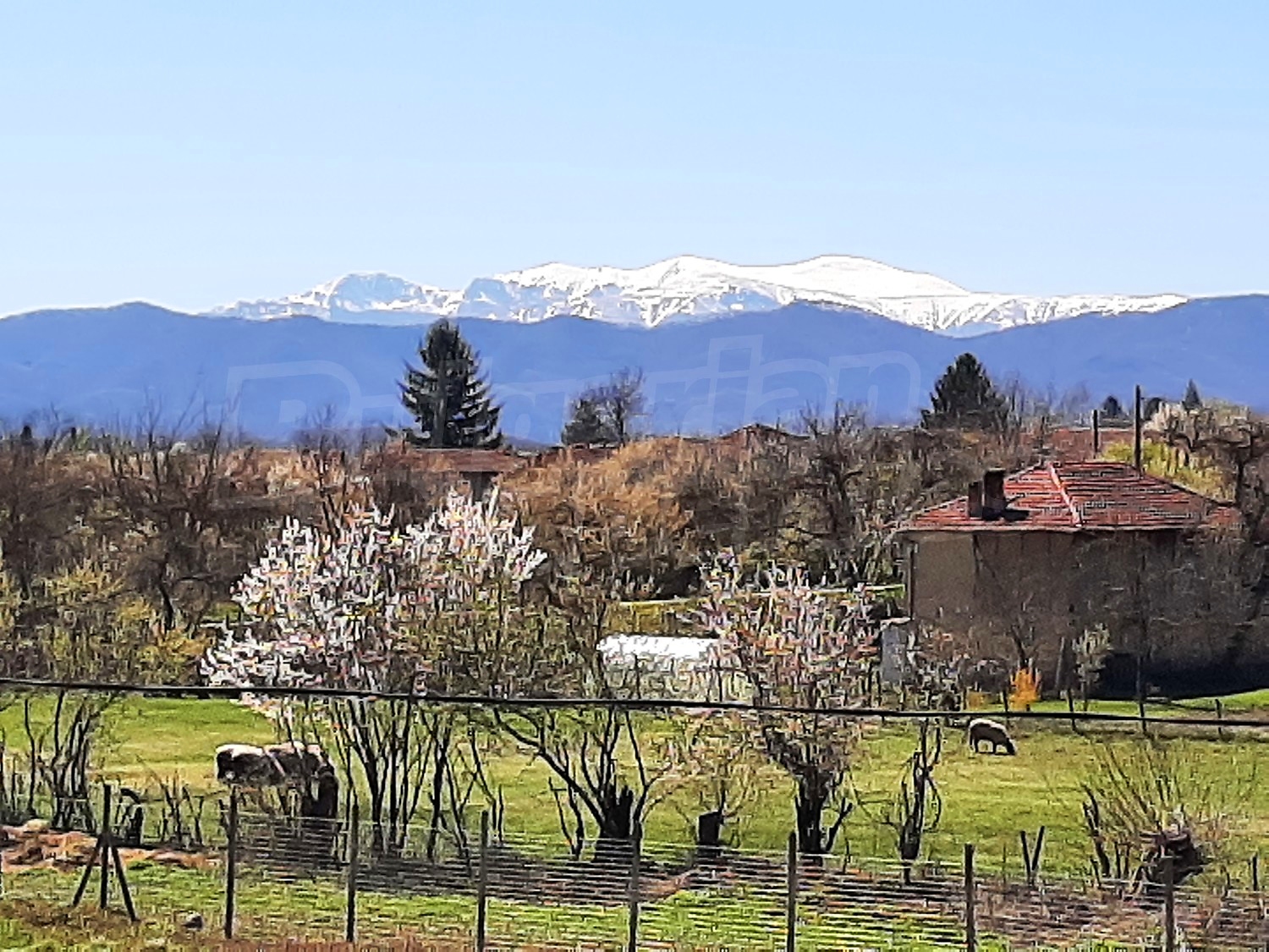 outside, mountain, green area