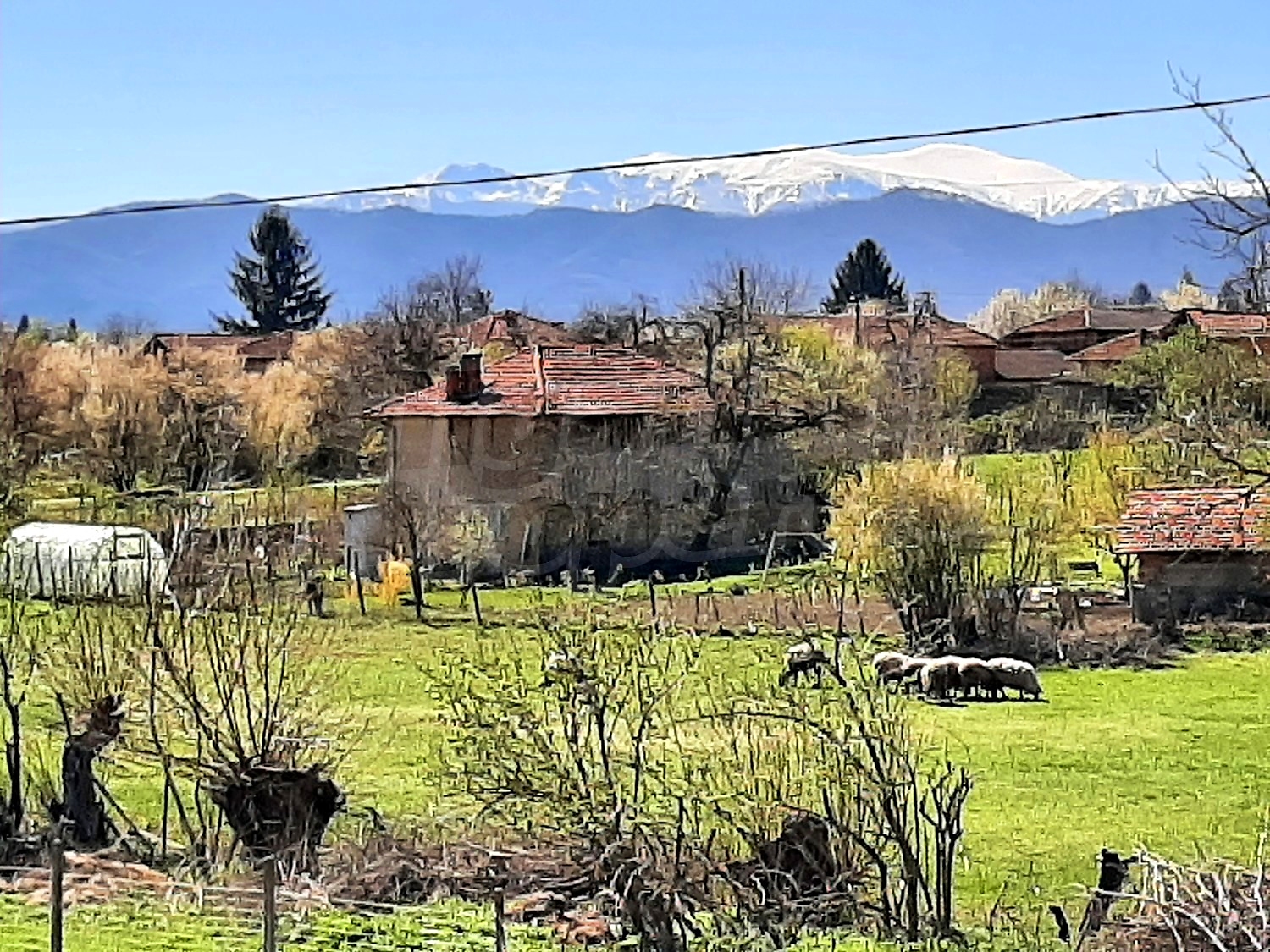 outside, mountain, green area, garden