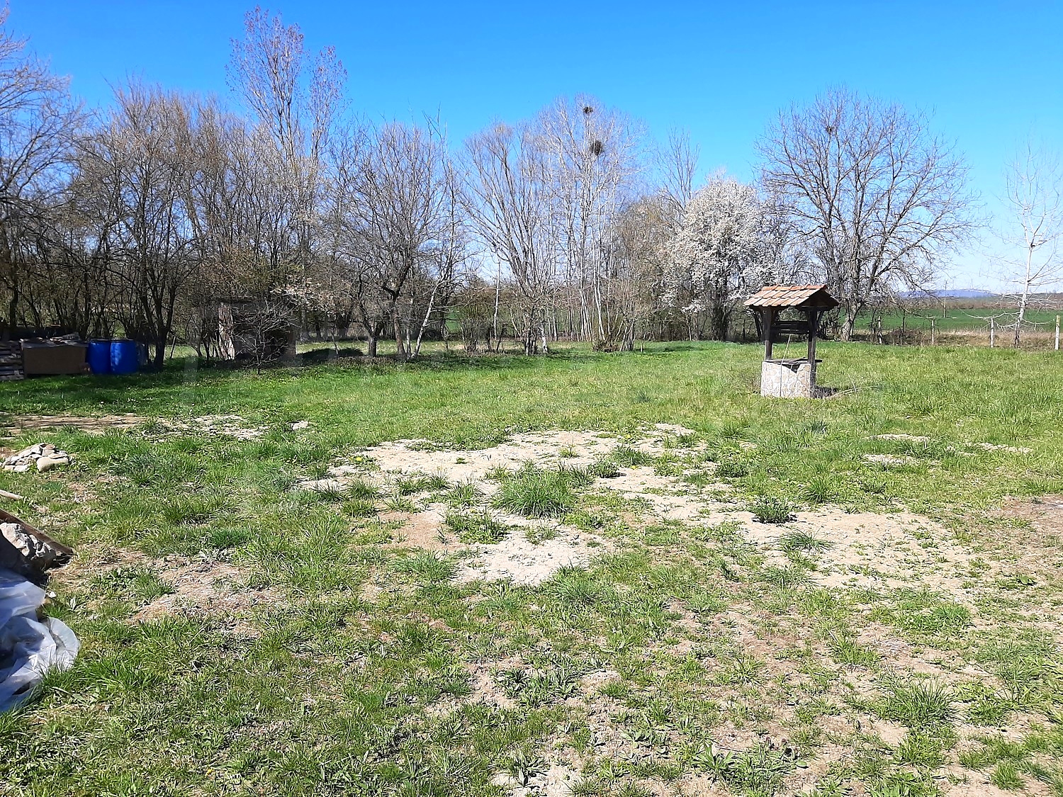 outside, green area