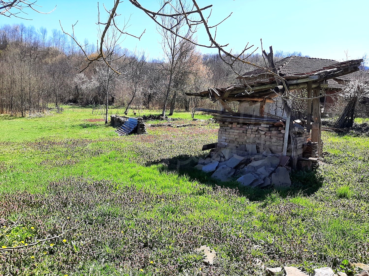 outside, green area, garden