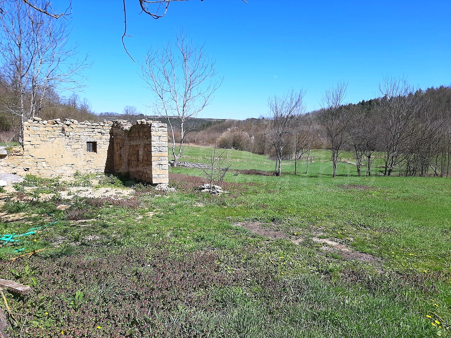 outside, green area