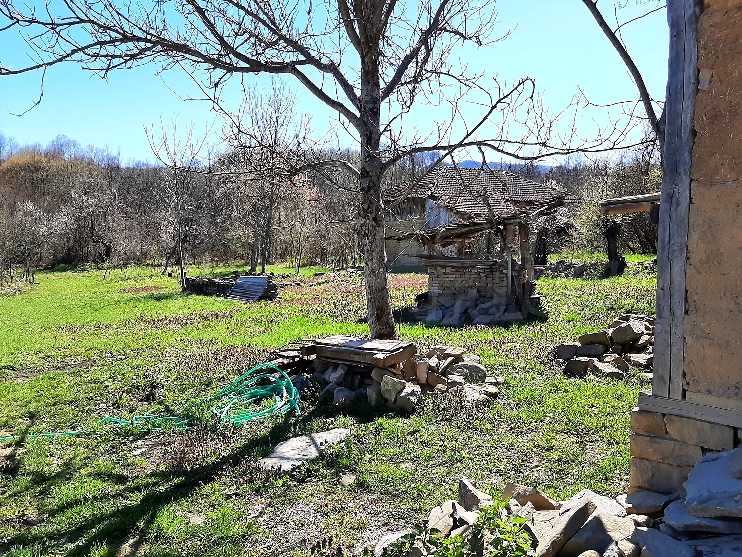 outside, garden, green area