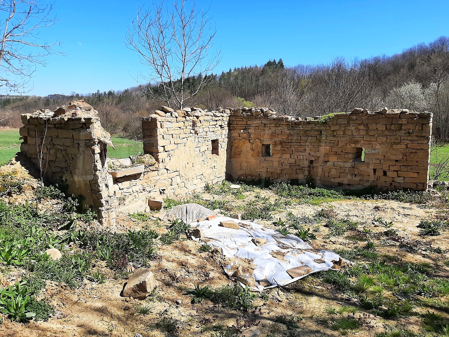 outside, facade, green area, garden