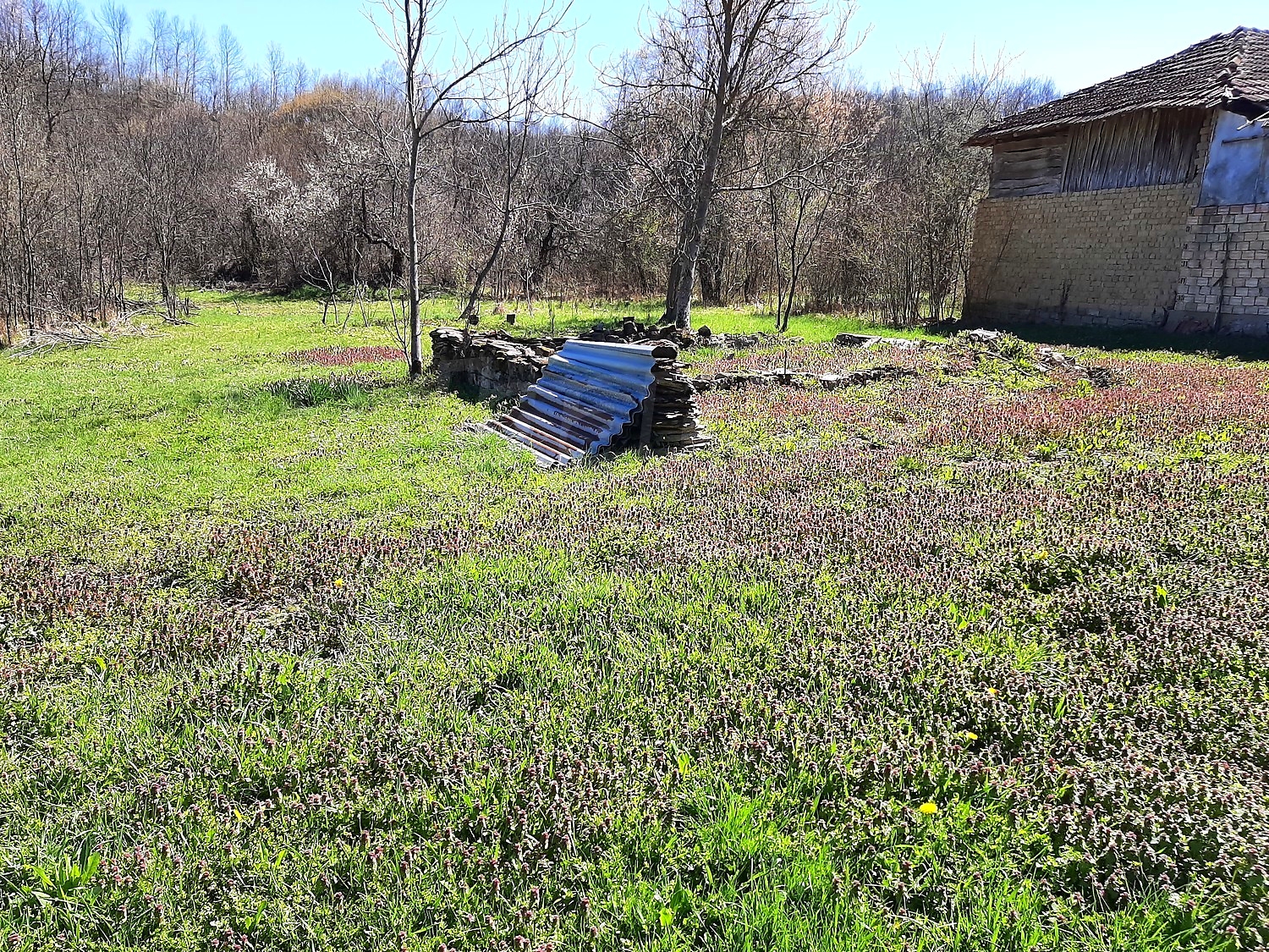 outside, garden, facade, green area