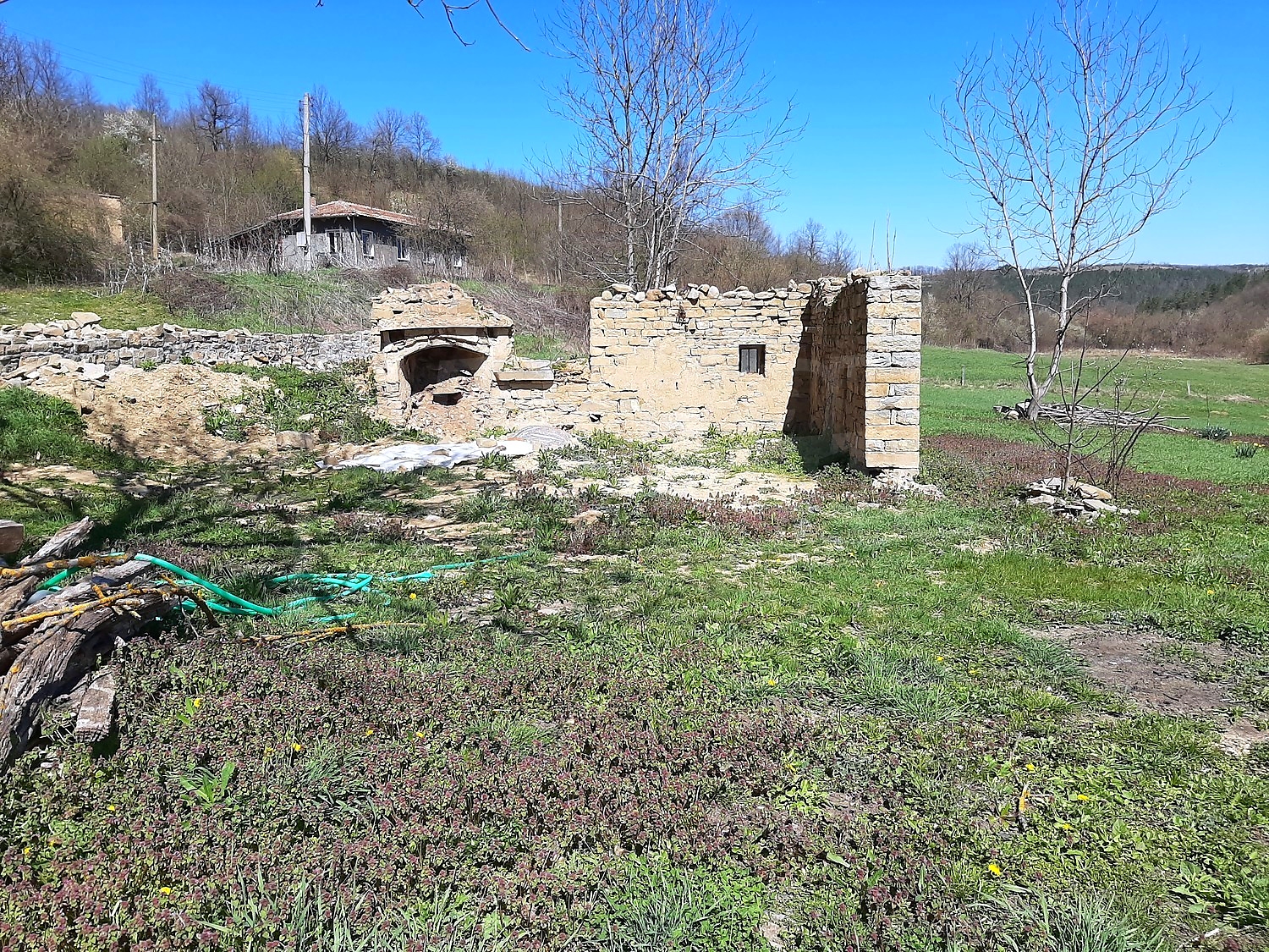 outside, green area, facade, garden