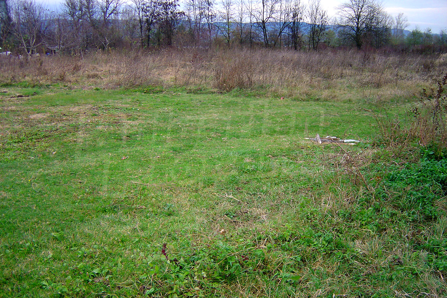 outside, green area