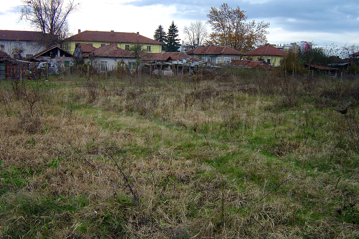 outside, garden, green area