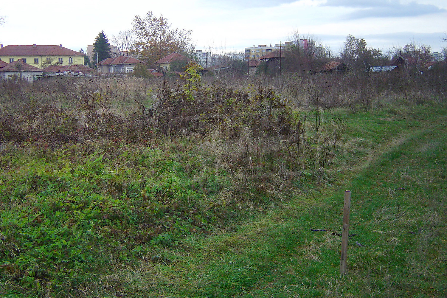 outside, green area