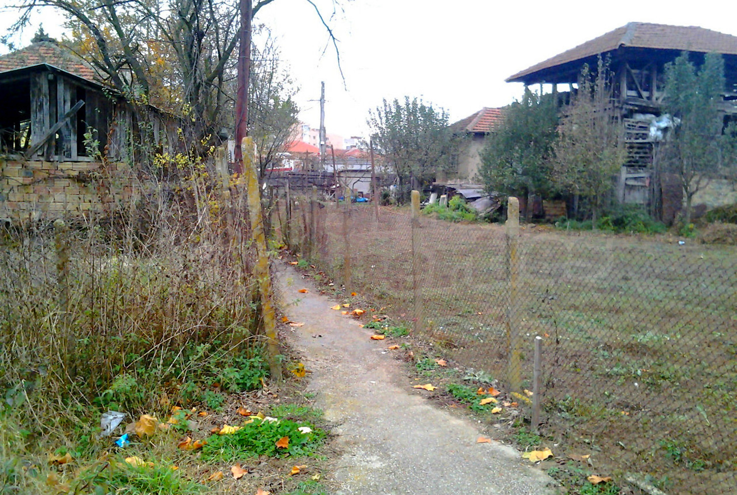 outside, garden
