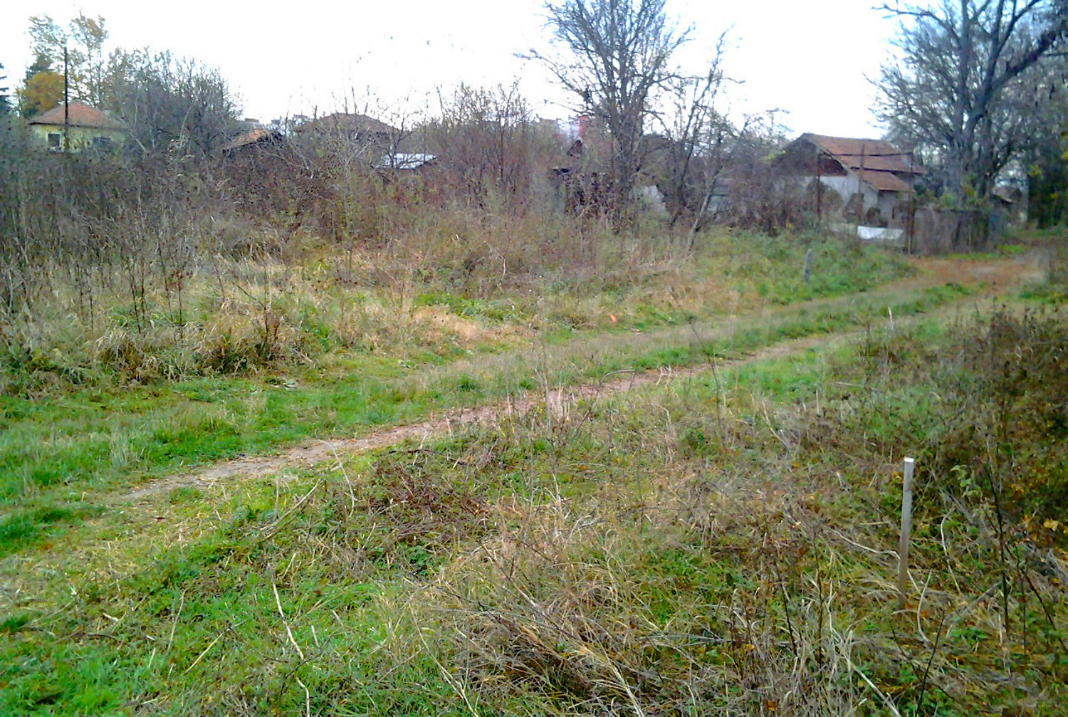 outside, green area, garden