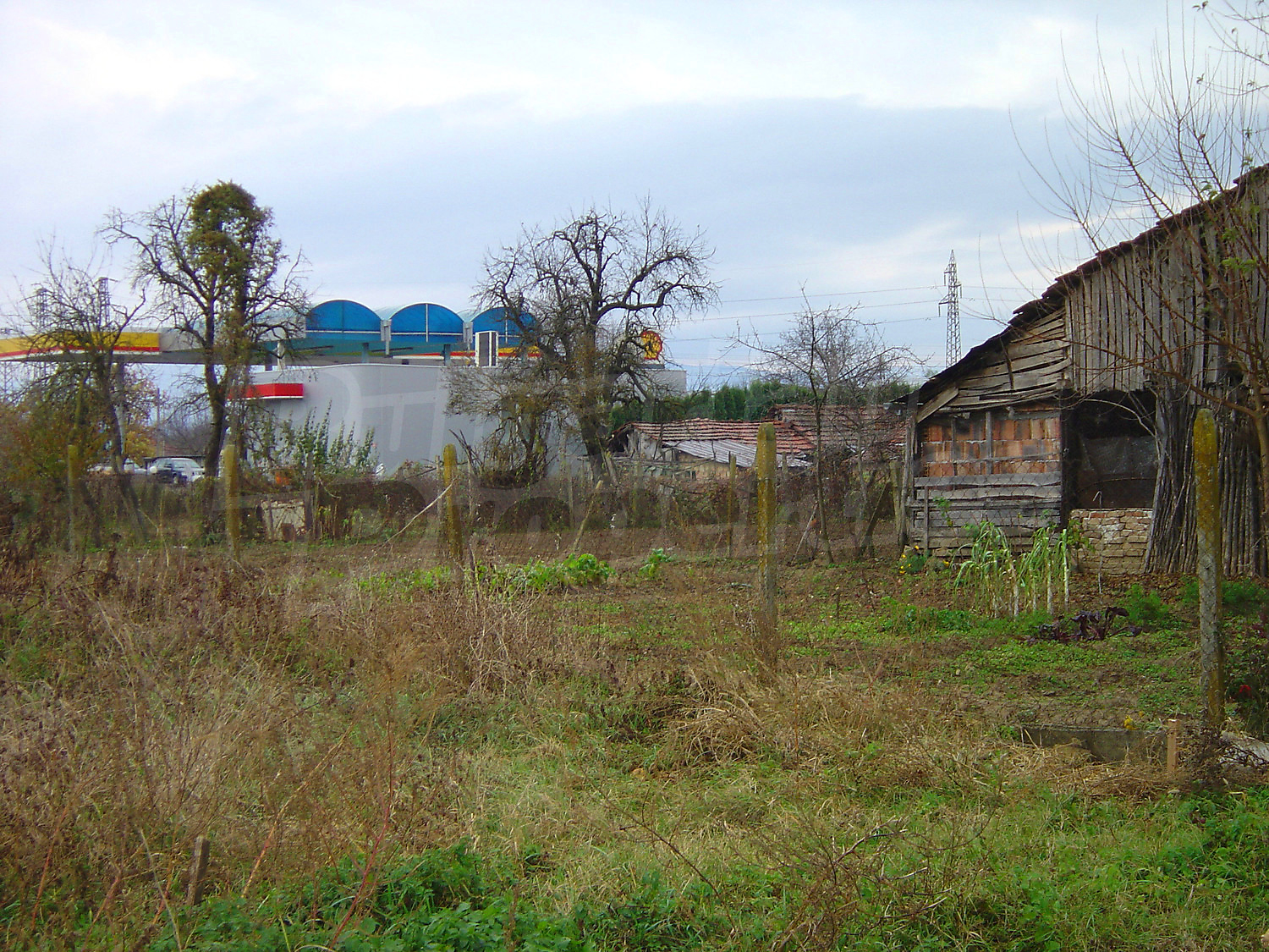 outside, garden