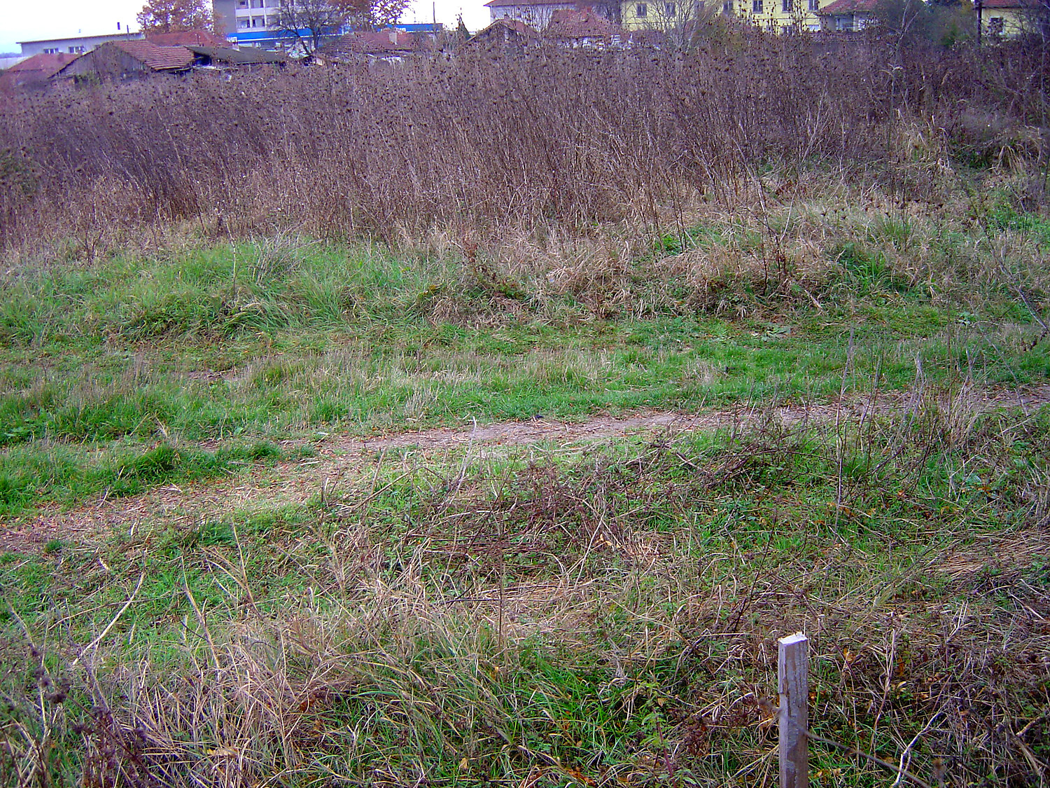 outside, green area