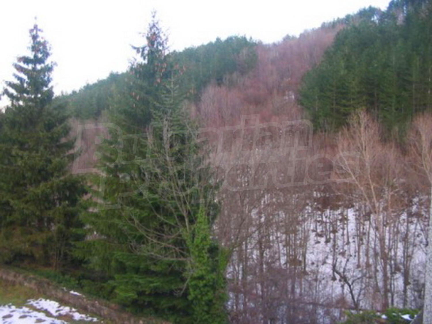outside, mountain, green area