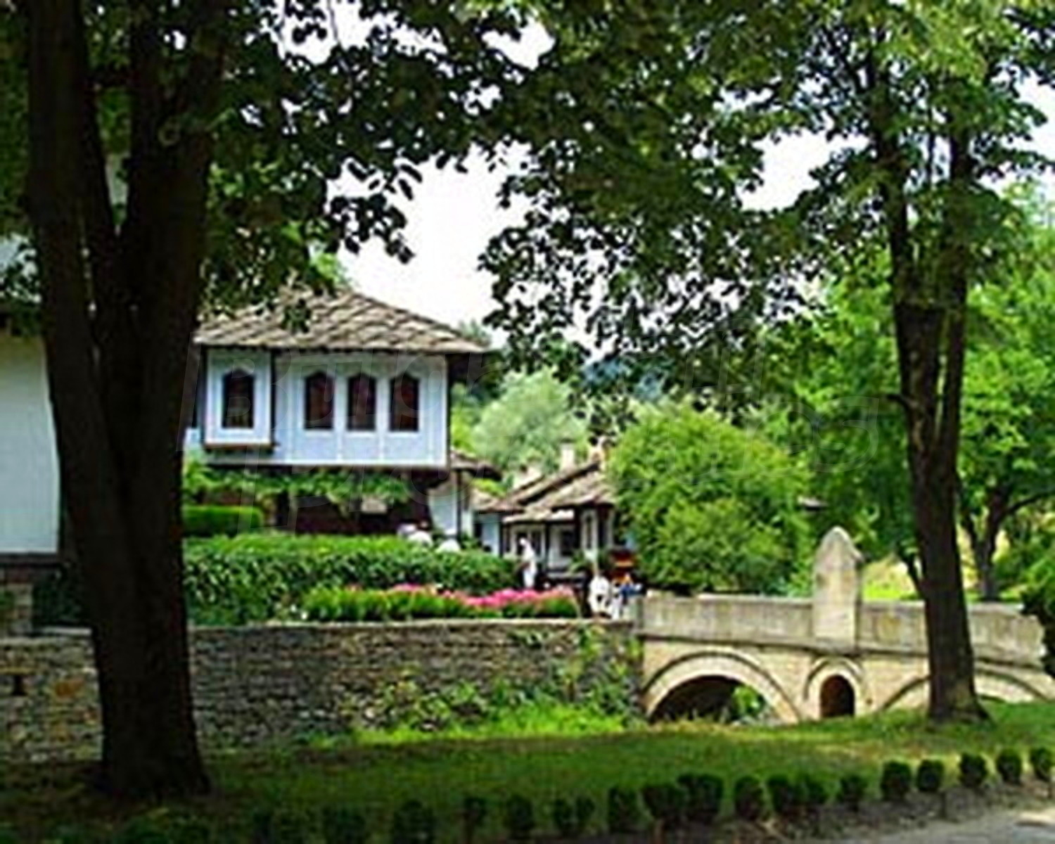 outside, garden