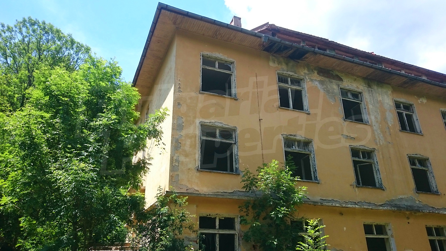 facade, outside, green area