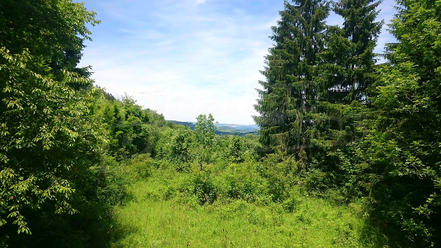 outside, green area, mountain