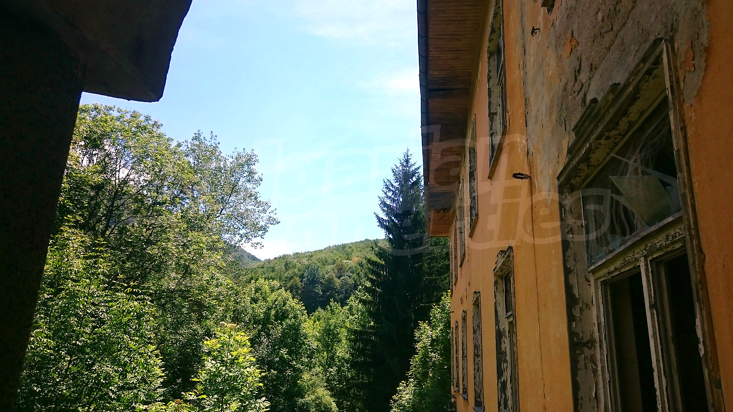 outside, facade, green area