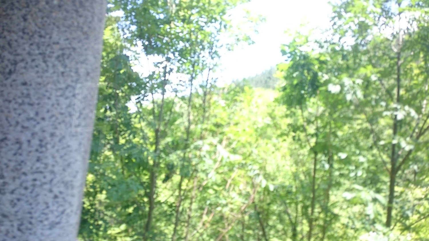 outside, green area