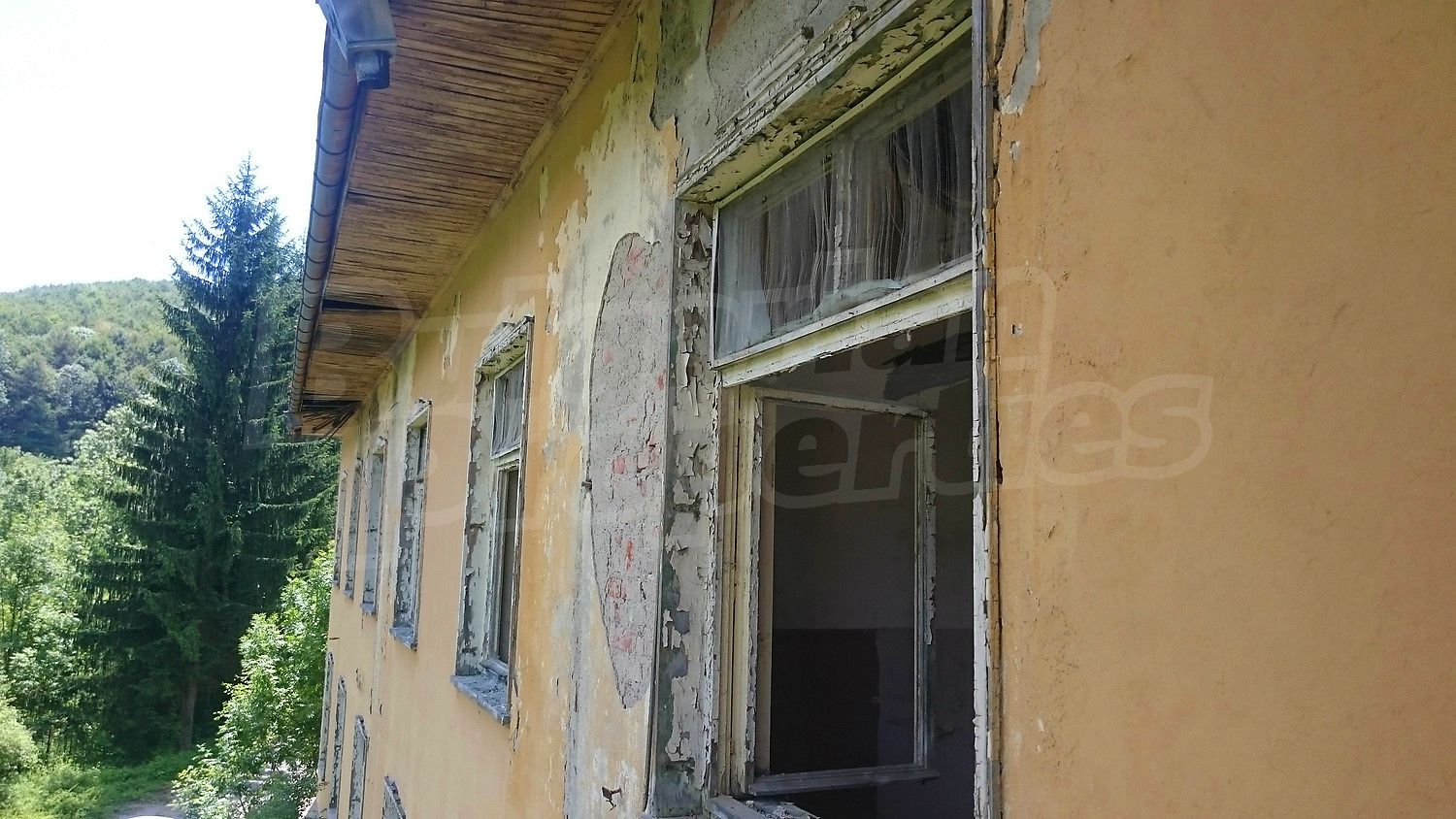 facade, outside, green area