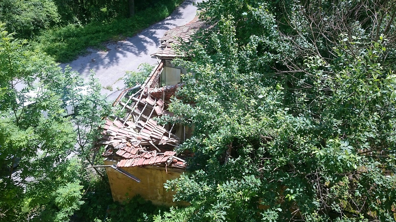 outside, green area