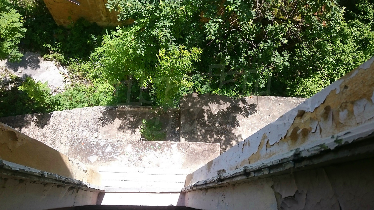 outside, green area