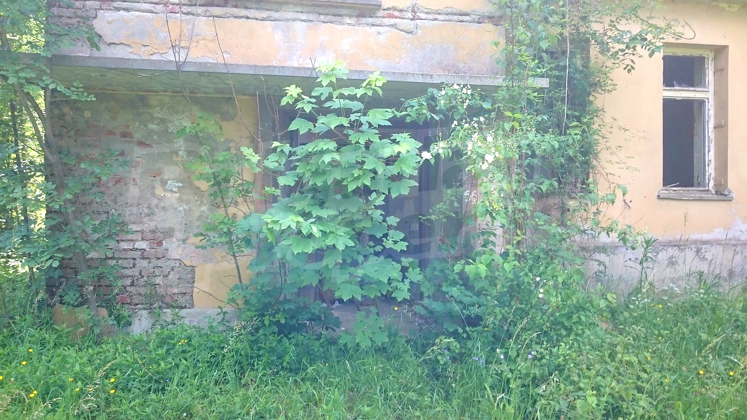 outside, facade, green area