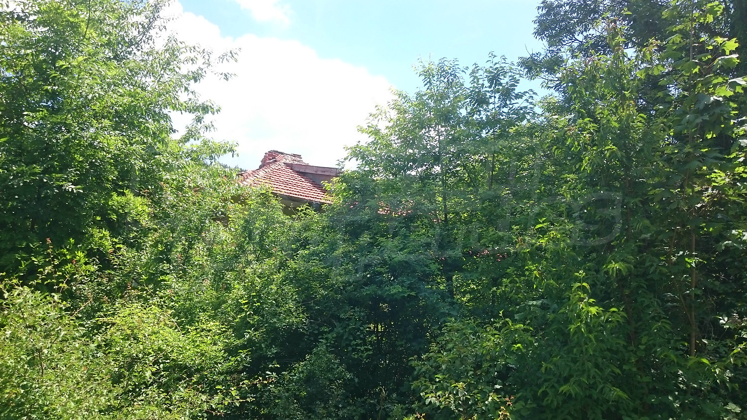 outside, green area, facade