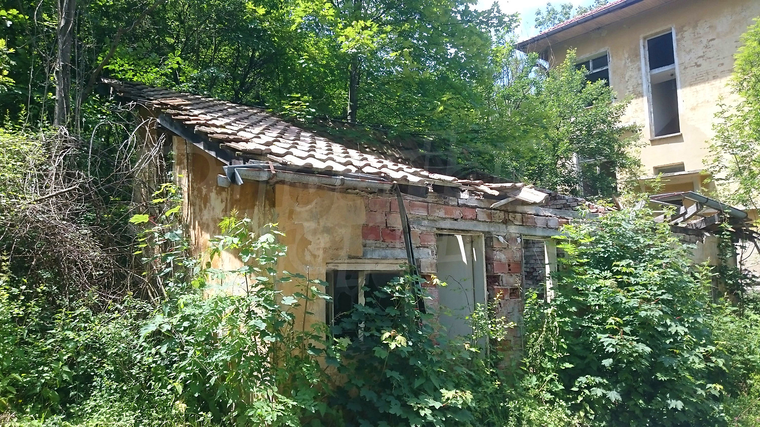 outside, facade, green area