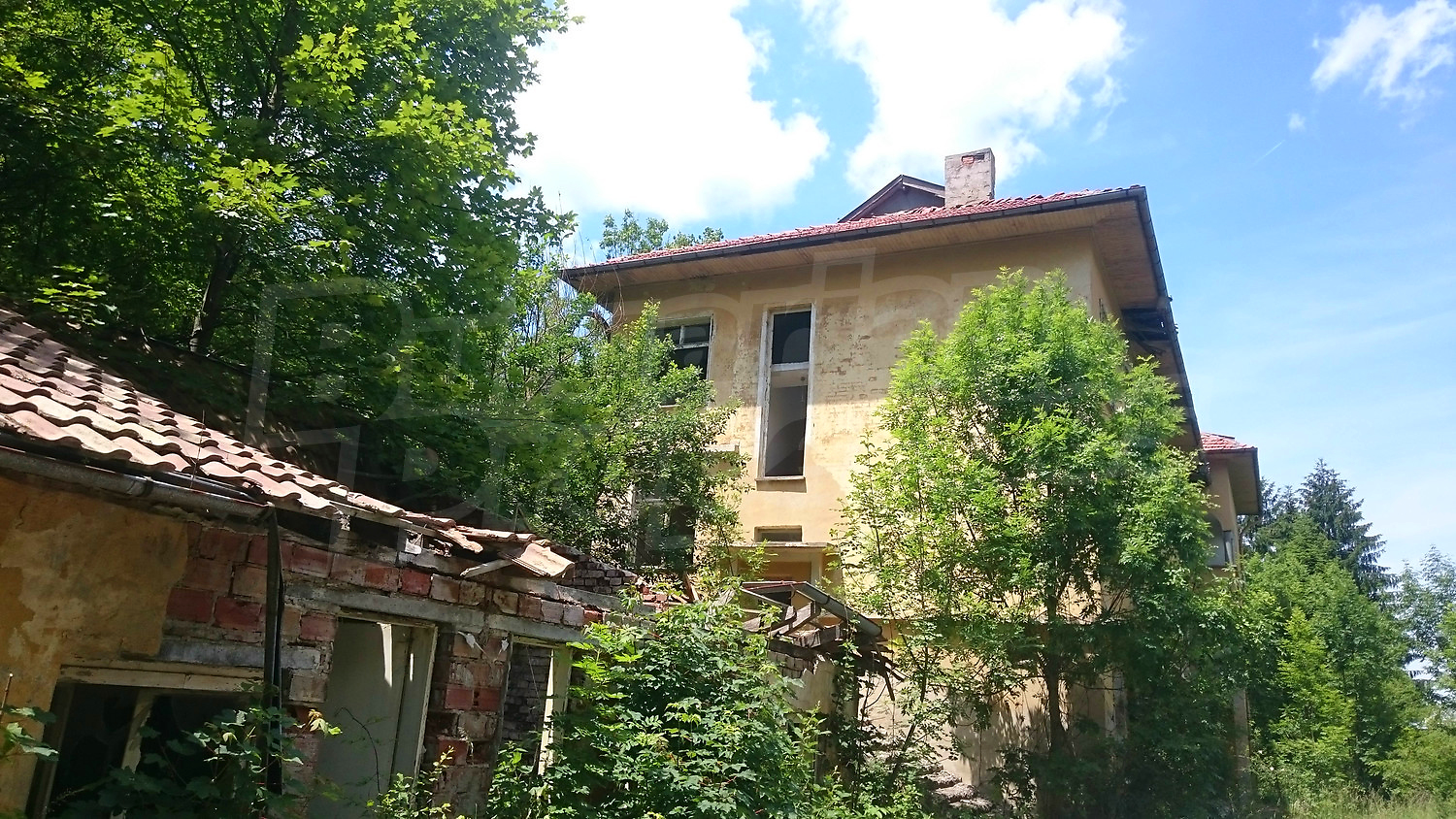 outside, facade, green area