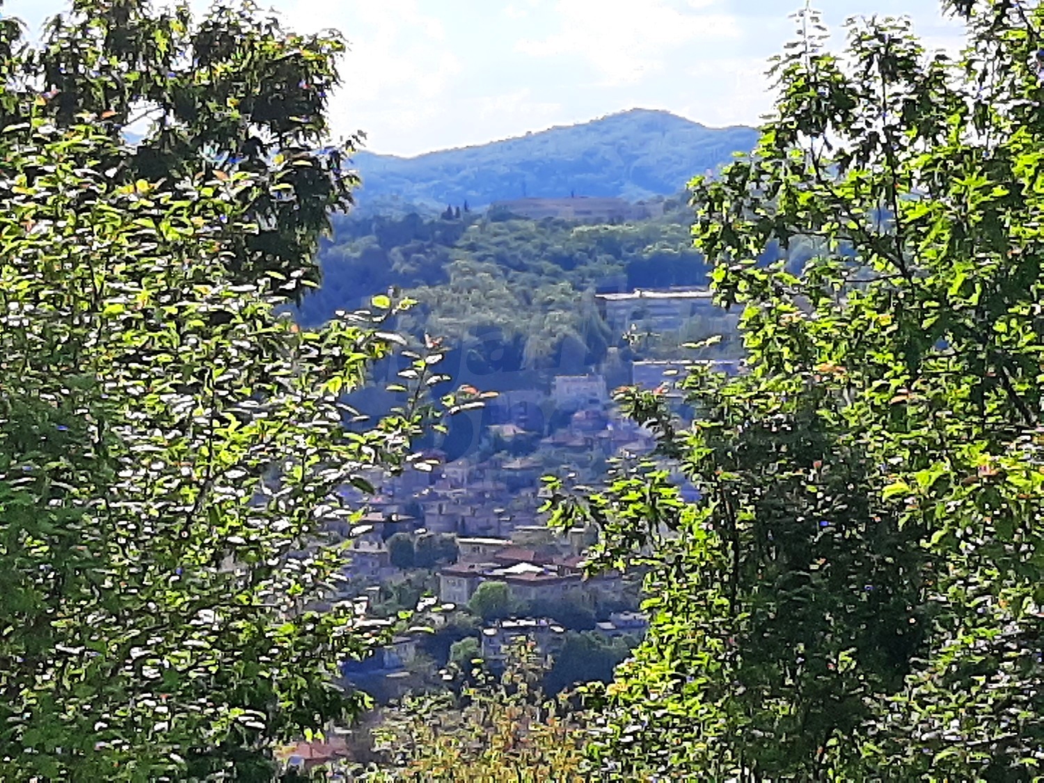 outside, mountain, green area
