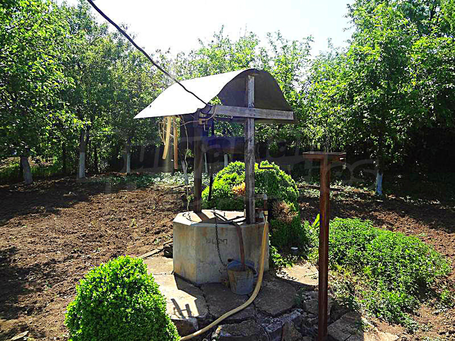 garden, outside, green area